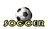 SOCCERWHT.GIF (4870 bytes)